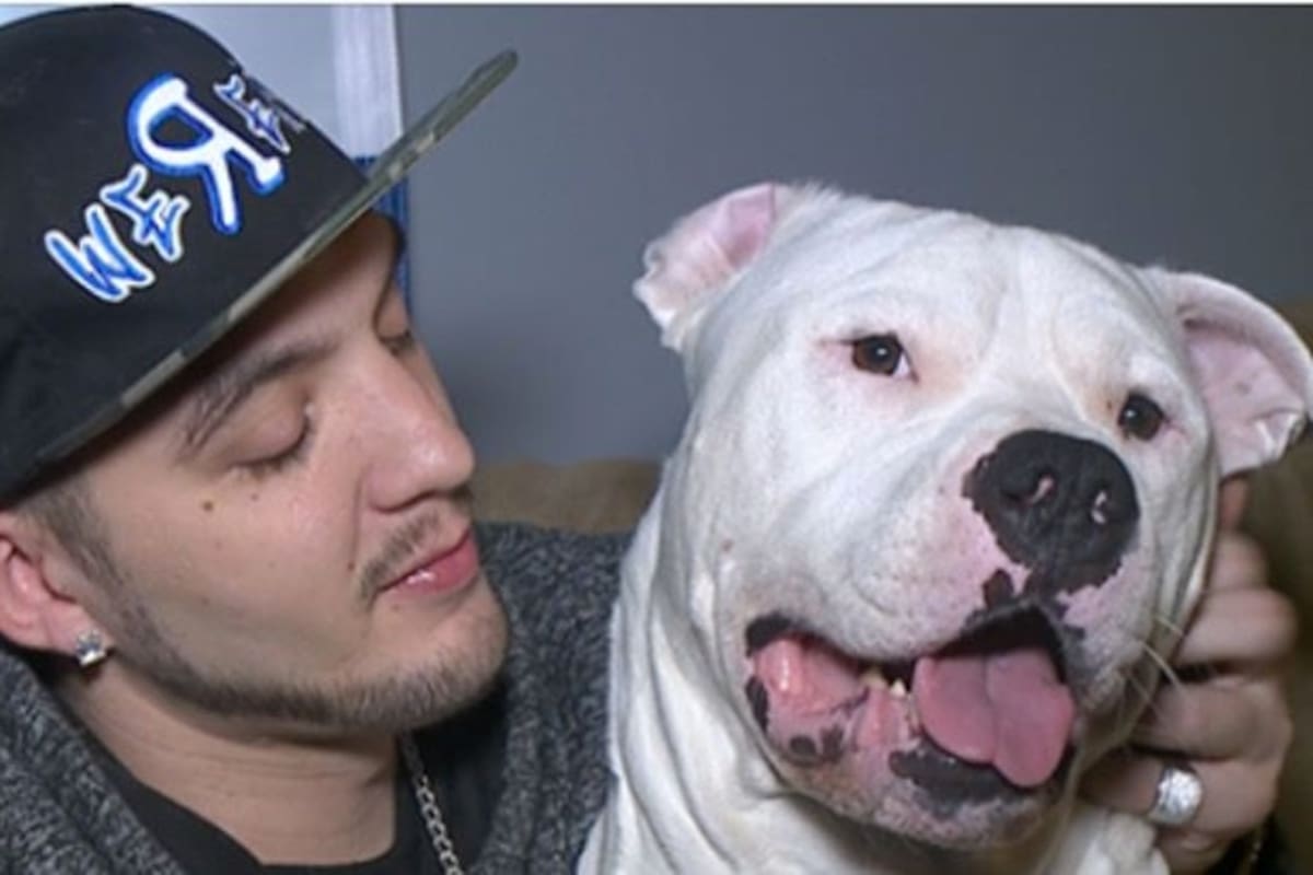 Gemini se recupera junto a su amigo