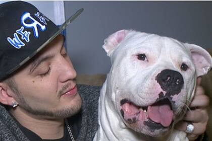 Gemini se recupera junto a su amigo