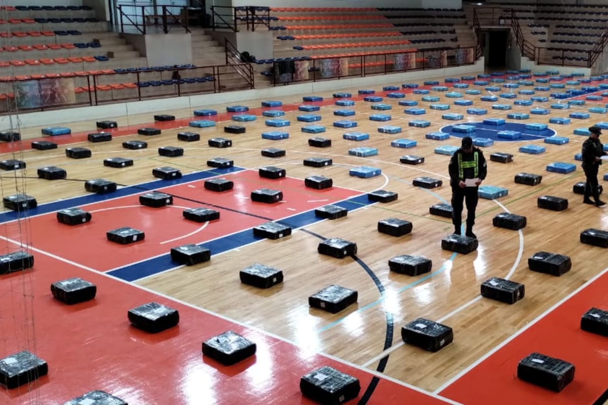 Gendarmería decomisó ocho toneladas de marihuana