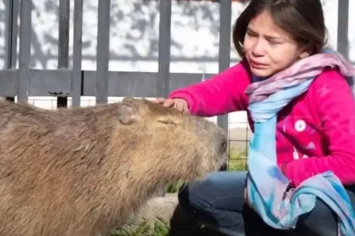 Gendarmería llegó a un barrio santafesino para llevarse al animal, pero la actitud de sus dueños, en especial de una pequeña de 8 años, conmovió a los vecinos, que impidieron el traslado del roedor