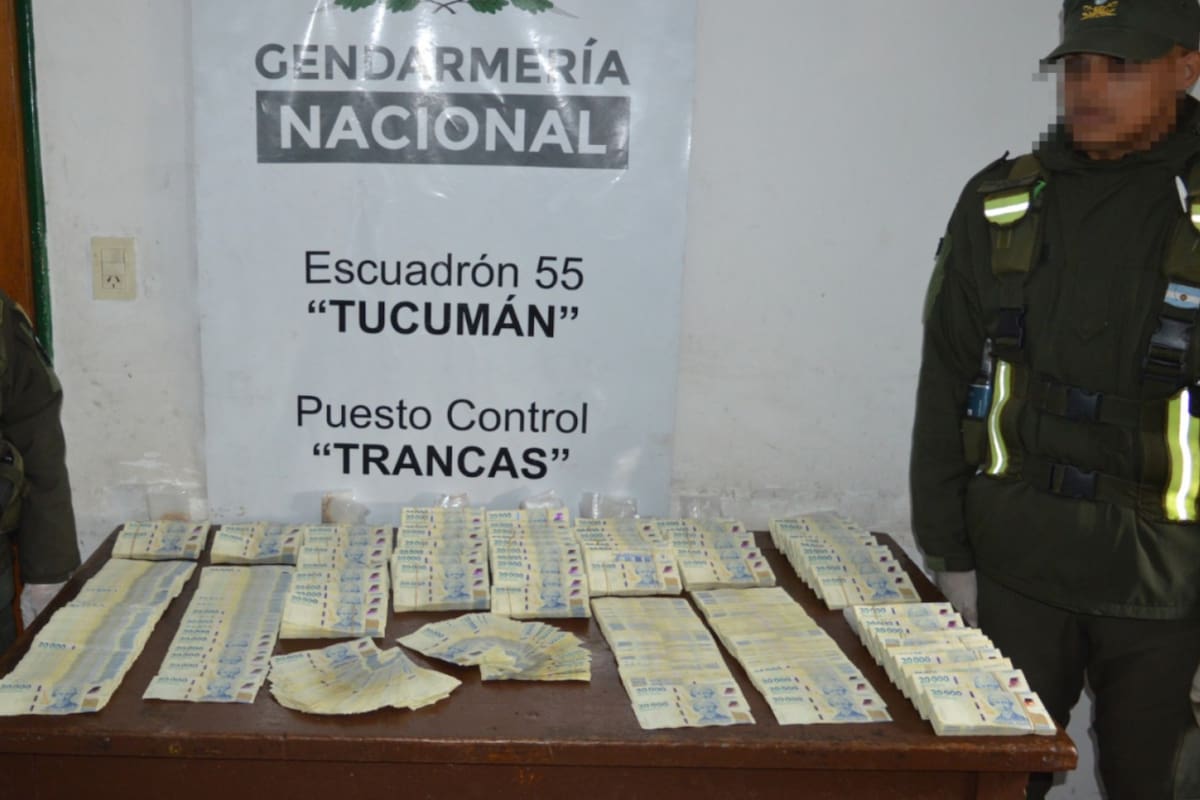 Gendarmería Nacional incautó a un hombre 159 millones de pesos mientras viajaba en un colectivo de larga distancia