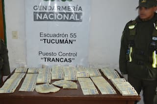 Detuvieron a un hombre que viajaba en colectivo de larga distancia con 159 millones de pesos sin declarar