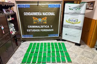 Secuestraron 59 kilos de cocaína que estaban enterrados en el patio de una casa