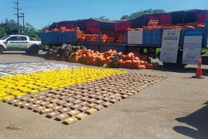 Gendarmería secuestró 860 kilogramos de cocaína escondidos en un camión con zapallos