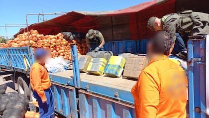 Gendarmería secuestró 860 kilogramos de cocaína escondidos en un camión con zapallos