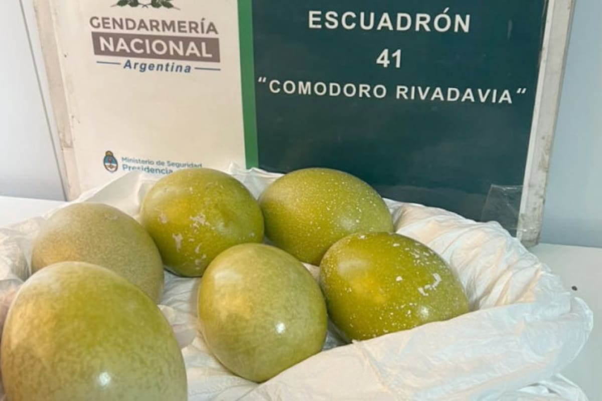 Gendarmería secuestró los huevos encontrados en el asiento de un auto