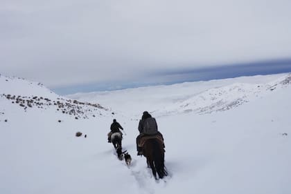 La Gendarmería Nacional rescató a un baqueano que había quedado atrapado por un temporal de nieve