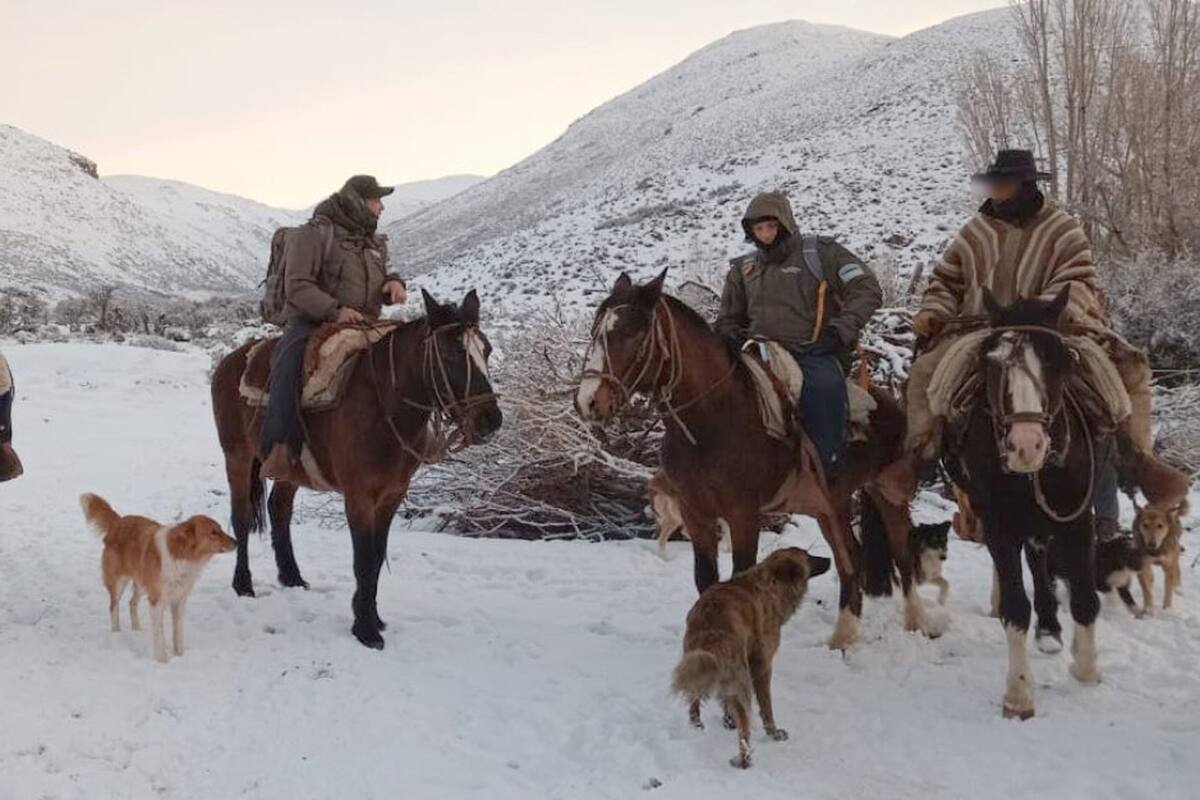 Gendarmería; Seguridad; baqueano perdido; Mendoza;