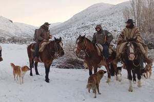 Gendarmería; Seguridad; baqueano perdido; Mendoza;