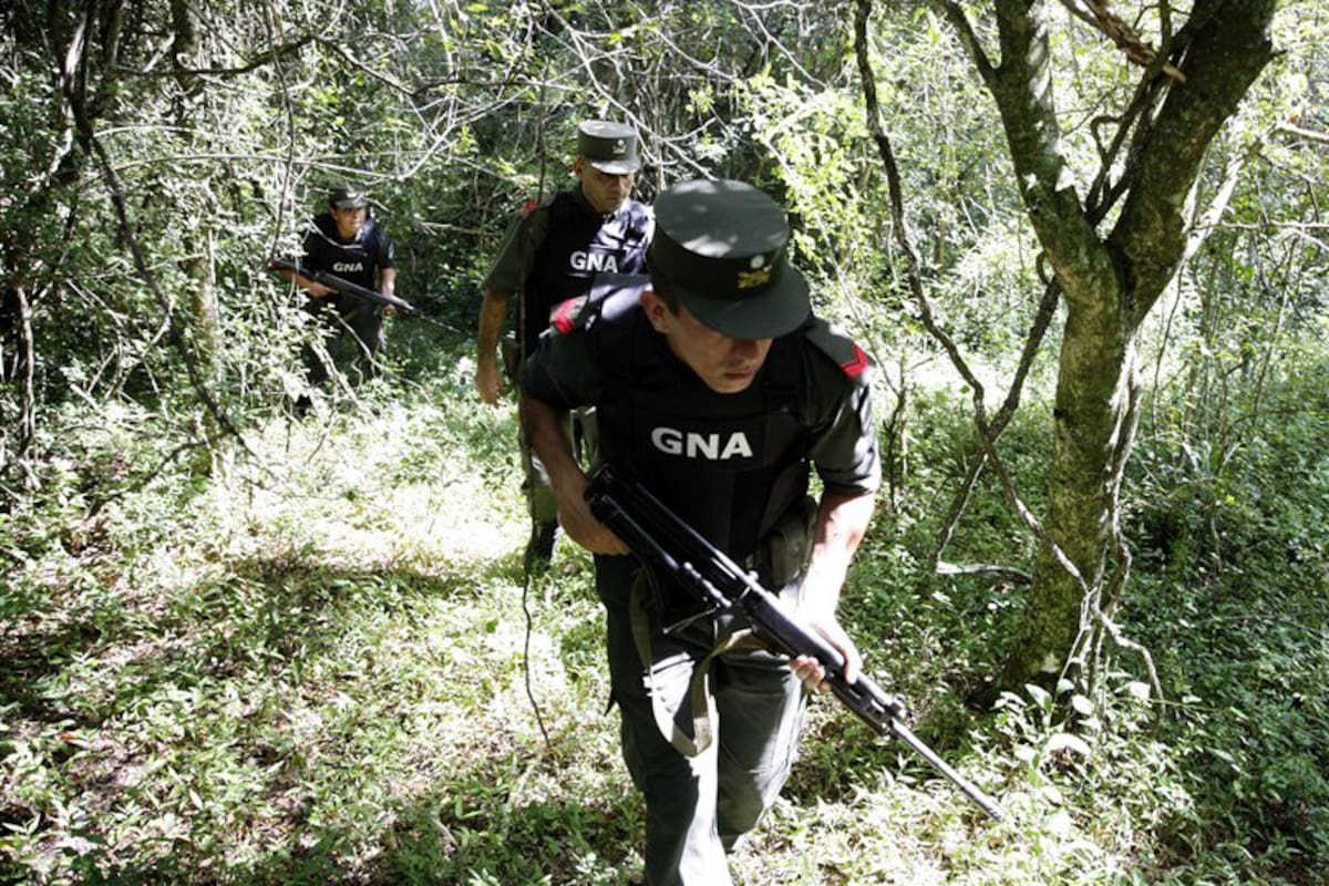 Gendarmes recorren los montes cerca de la ruta 12 en busca de narcos