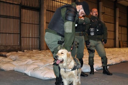 Gendarmes, un perro rastreador y arroz con droga
