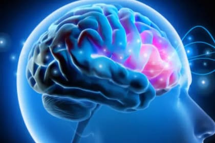 Generar un buen clima con los demás trae consecuencias positivas, incluso para el cerebro humano; los psicólogos recomiendan practicar el arte de "quedar bien"