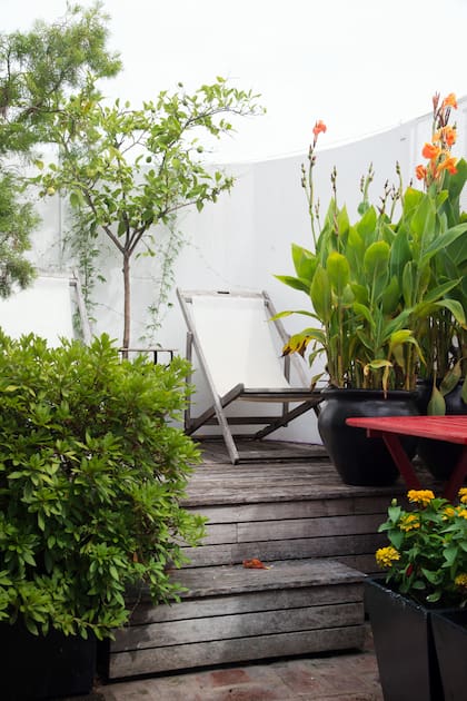 Generar un microclima en el balcón o terraza ayudará a mantener las plantas sanas