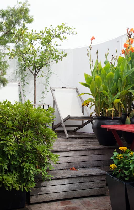 Generar un microclima en el balcón o terraza ayudará a mantener las plantas sanas