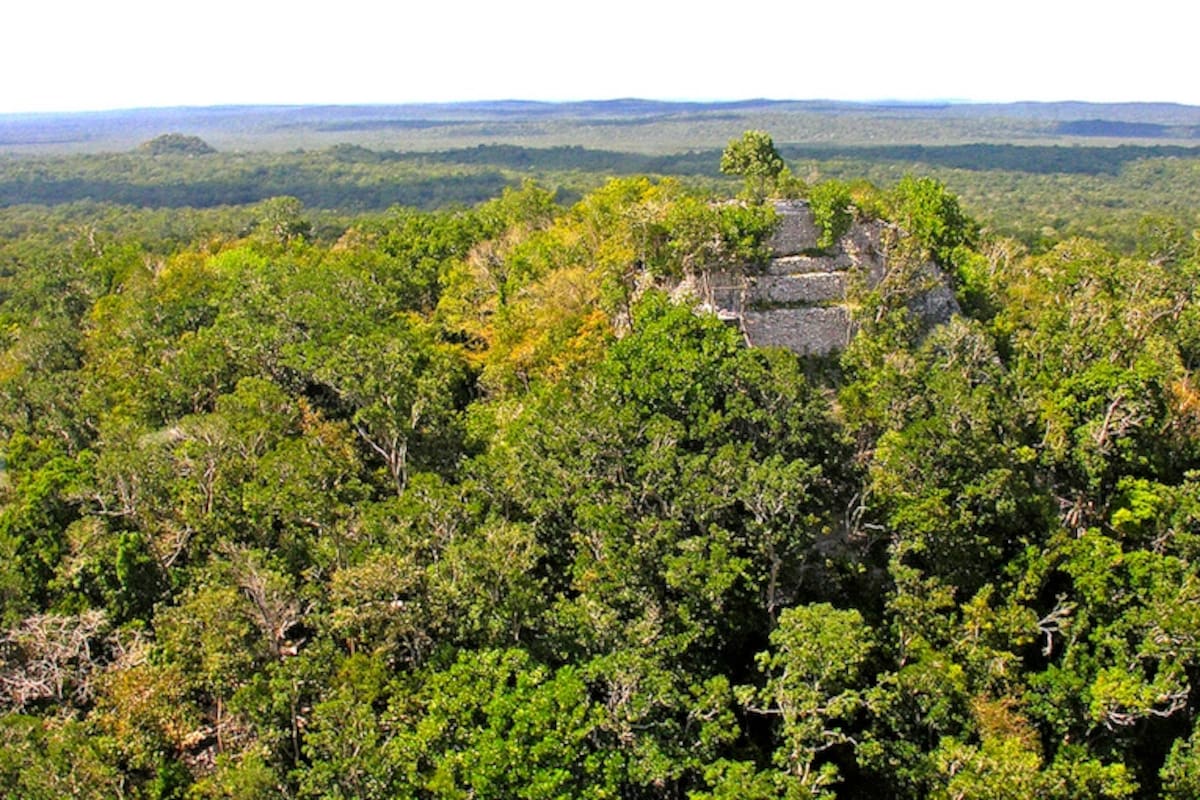 Génesis, el grupo élite de guardaparques, aumentó sus patrullajes después de que sus colegas en México alertaran sobre el cruce de taladores