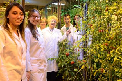 El equipo liderado por Valle junto a algunos de los tomates testeados