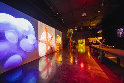 Gentileza: Gonzalo Solimano.