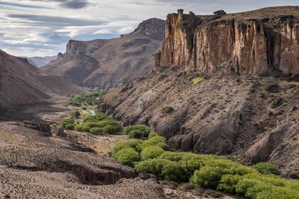 Gentileza Rewilding Argentina