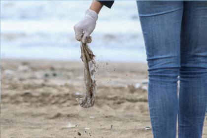 Gentileza: Vida Silvestre Argentina
