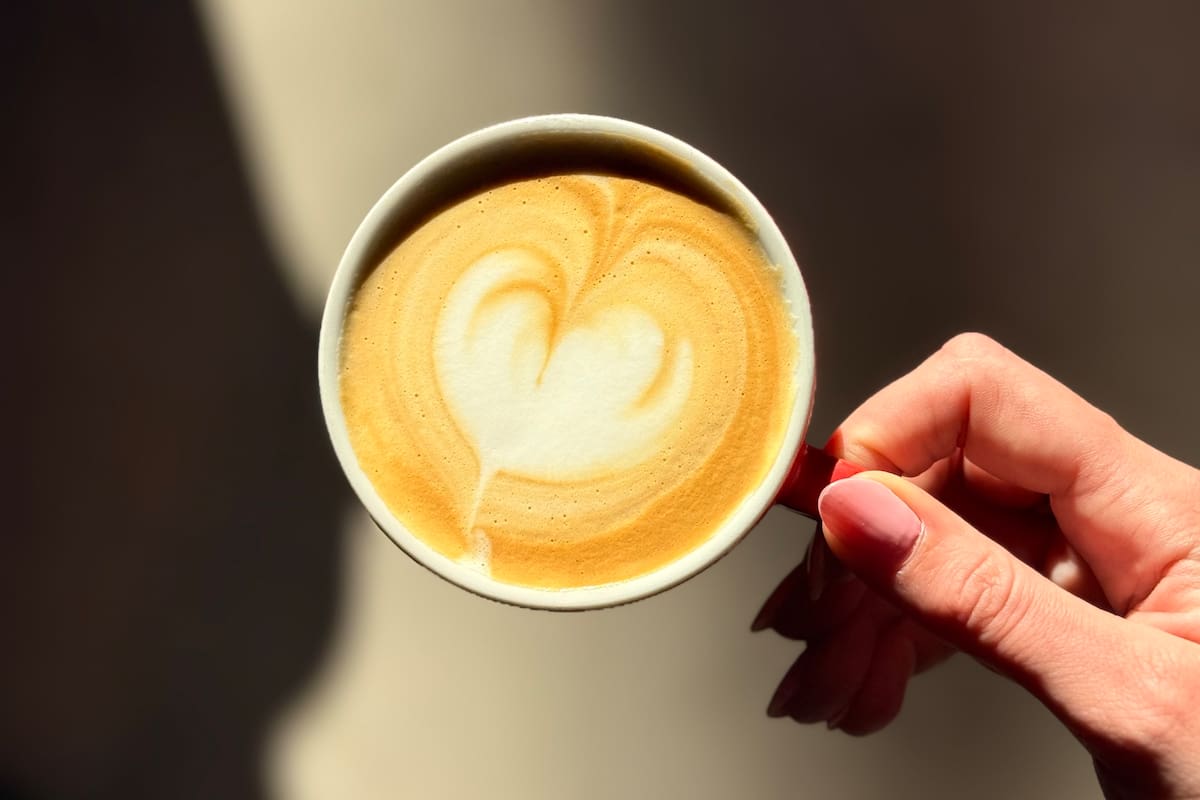 Gentileza/Negro Cueva de Café