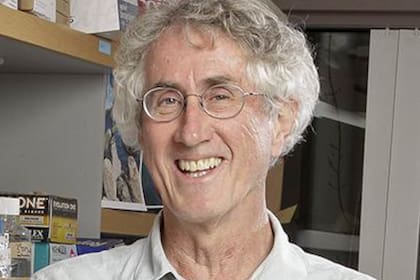 Gerald R. Crabtree, biólogo del desarrollo de la Universidad Stanford