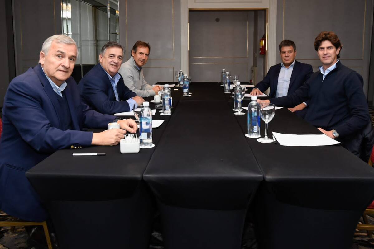 Gerardo Morales, Mario Negri, Luis Naidenoff, Facundo Manes y Martín Lousteau