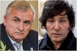Gerardo Morales y Javier Milei