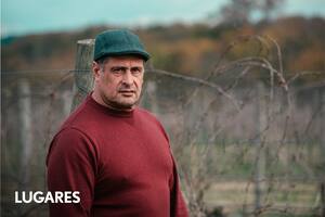 Gerardo Pereyra, en el viñedo de Gamboa, en Campana.