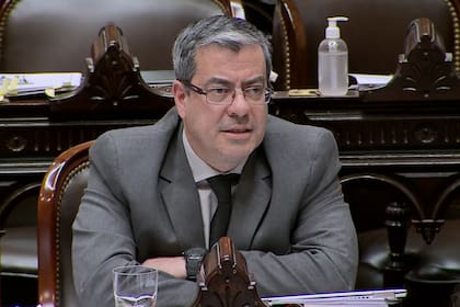 Germán Martínez durante la sesión especial de la Cámara de Diputados