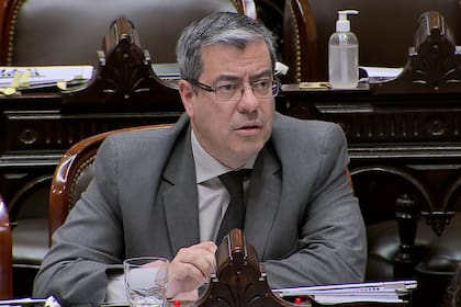 Germán Martínez durante la sesión especial de la Cámara de Diputados