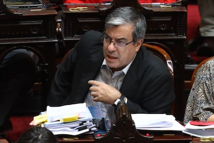 Germán Martínez, el jefe del bloque de diputados de UP