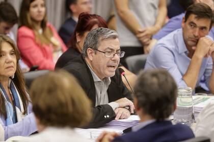 Germán Martínez, jefe del bloque de diputados del peronismo, durante el plenario de Comisiones