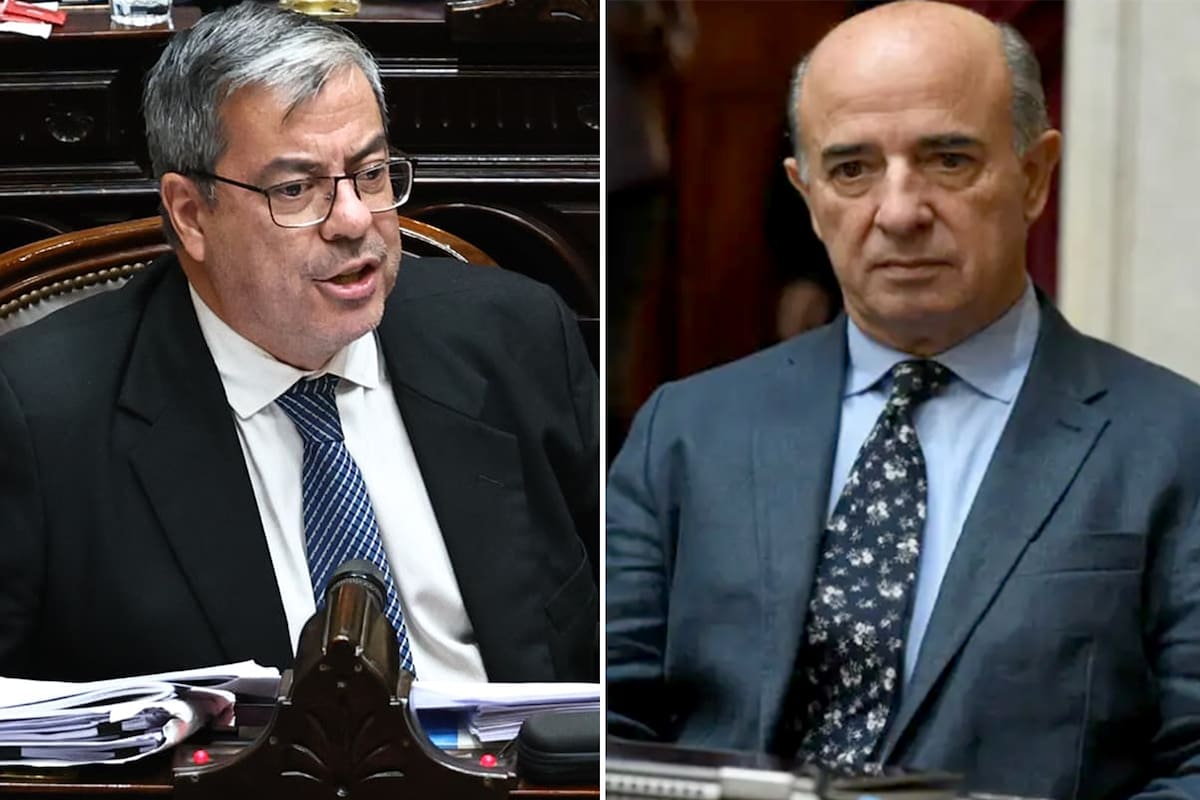 Germán Martínez (PJ) y Beltrán Bendit (LLA) protagonizaron un tenso cruce en una comisión de diputados