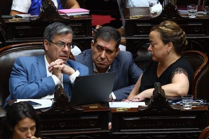 Germán Martínez y Cecilia Moreau, de Unión por la Patria