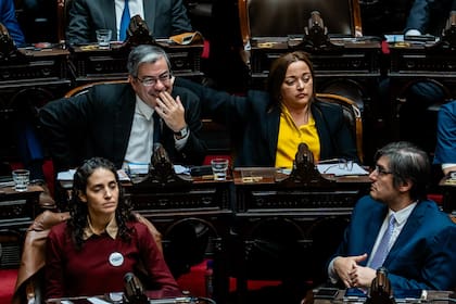 Germán Martínez y Cecilia Moreau, de UP, en el recinto de Diputados