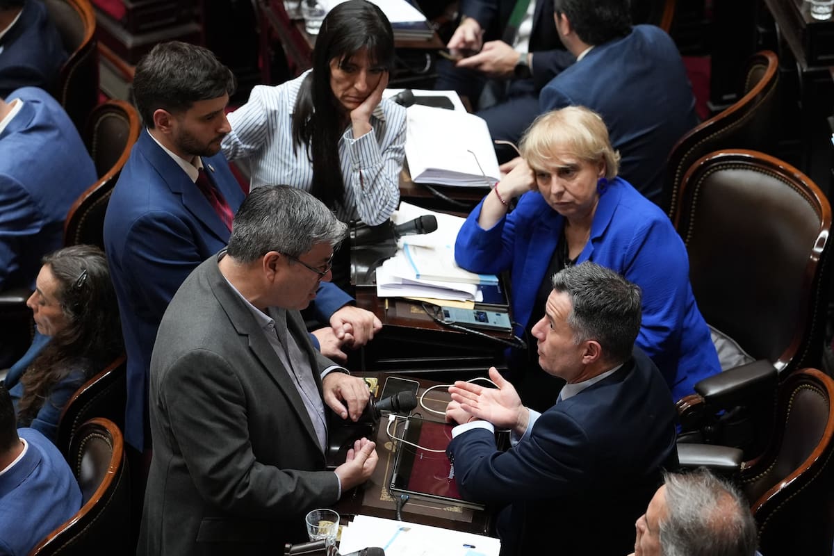 Germán Martínez y Gabriel Bornoroni discuten durante la sesión de la ley de discapacidad en el Congreso de la Nación