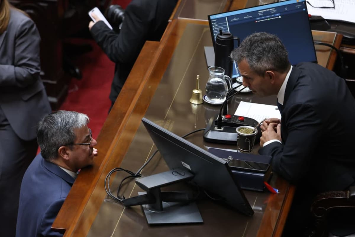 Germán Martínez y Martín Menem, en la sesión de hoy en Diputados