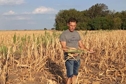 Germán Millet, productor agropecuario de Colón, en Buenos Aires, y en Wheelwright, Santa Fe en un lote de maíz que sufrió la sequía