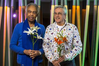 Gilberto Gil y Caetano Veloso: El tropicalismo fue un movimiento anti bossa nova hecho por admiradores y amantes de la bossa, dicen