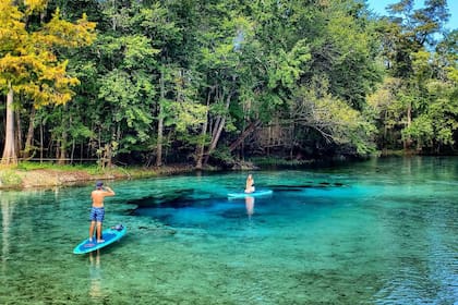 Ginnie Springs se destaca por sus lagunas turquesas