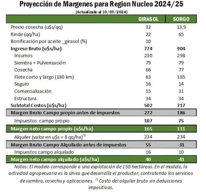 Girasol y sorgo, con oportunidades rentables