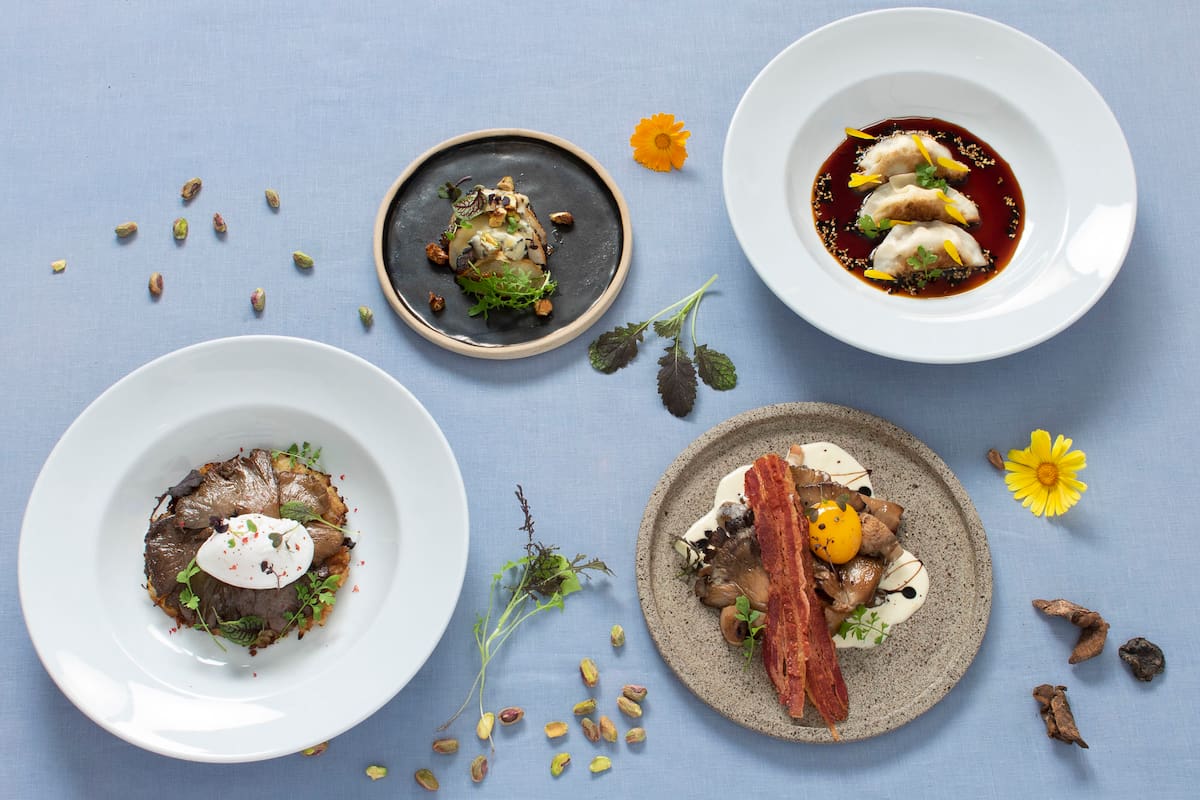 Gírgolas, el hongo que se adapta a todo tipo de prepraciones gourmet