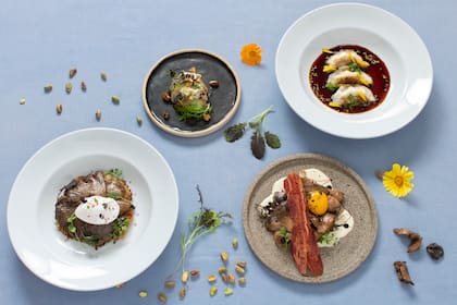 Gírgolas, el hongo que se adapta a todo tipo de prepraciones gourmet