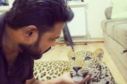 Girikumar Patil compró un jaguar y una pantera en un zoológico hace 20 meses