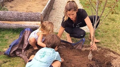 Gisele Bündchen y Tom Brady estarían separados desde hace meses