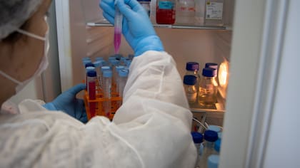 Gislaine Fongaro conduce en el Laboratorio de Virología Aplicada de la Universidad Federal de Santa Catarina el estudio de muestras del brote de gastroenteritis aguda en Florianópolis