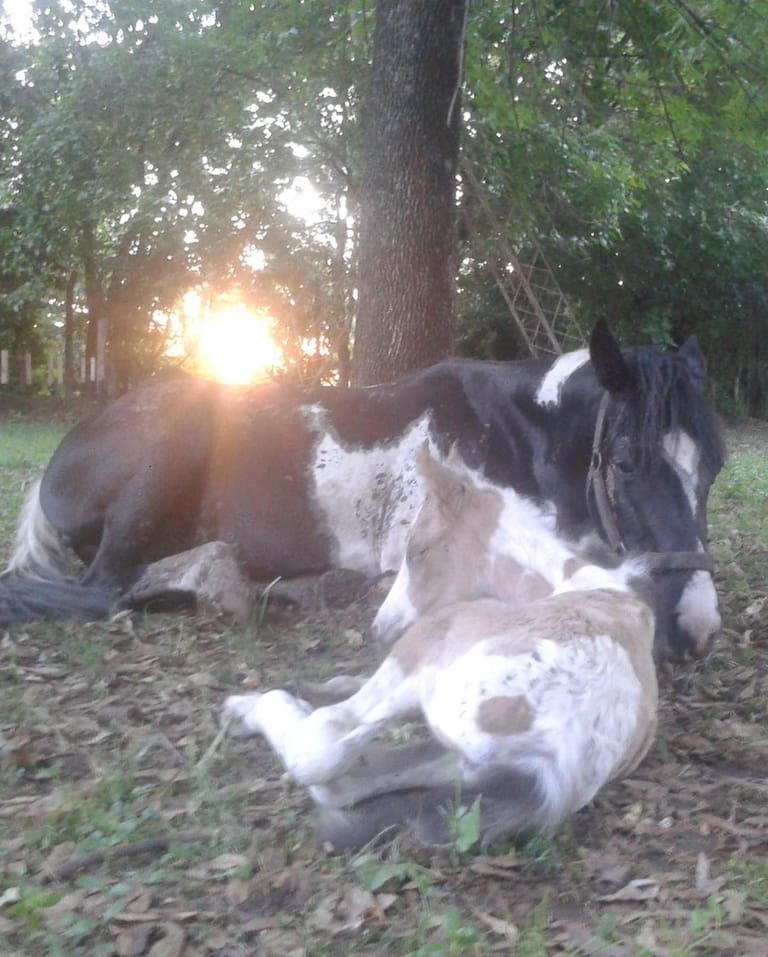 Gitana y Lluvia.