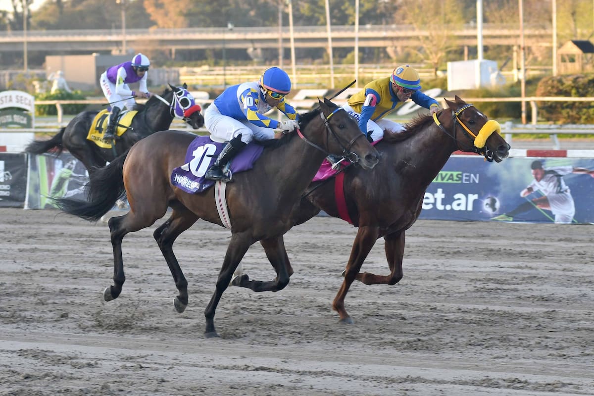 Giustino se adelantó a Nooresh (10) en un final cabeza a cabeza de la Polla de Potrillos; detrás, Colifato Novo, que fue adelante y terminó cuarto.