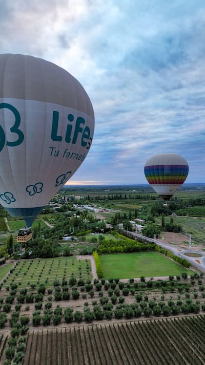 Globos aerostáticos de Aerotec sobrevolando la región vinícola de Mendoza