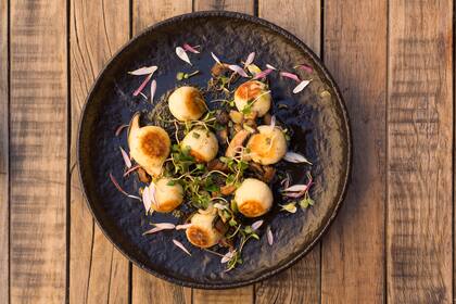 Gnudi de ricota y tomillo en pesto de kale, hongos y puerros, una de las opciones no carnívoras.